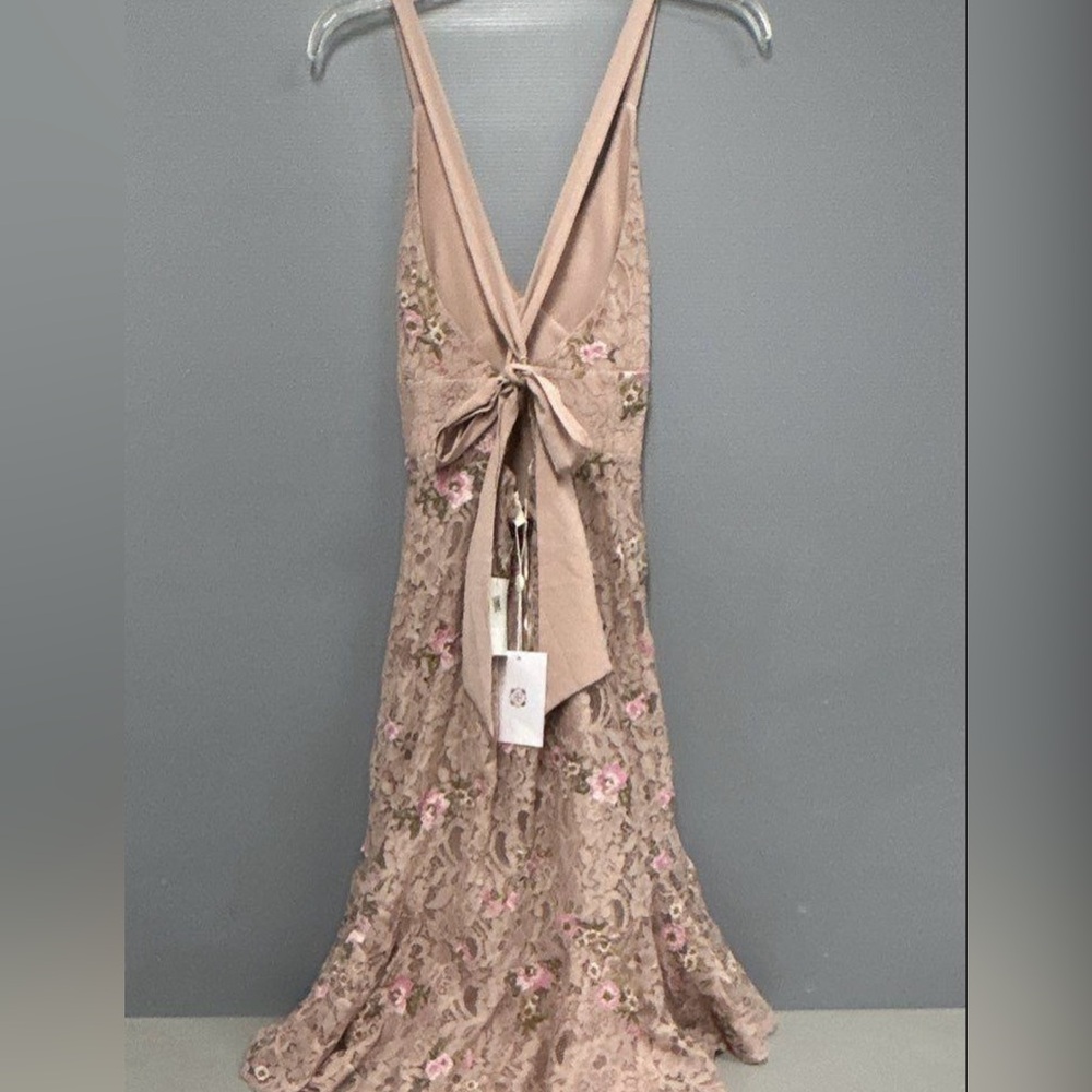 Backless Lace Dress in Pink and Cream WAYF size xs NWT